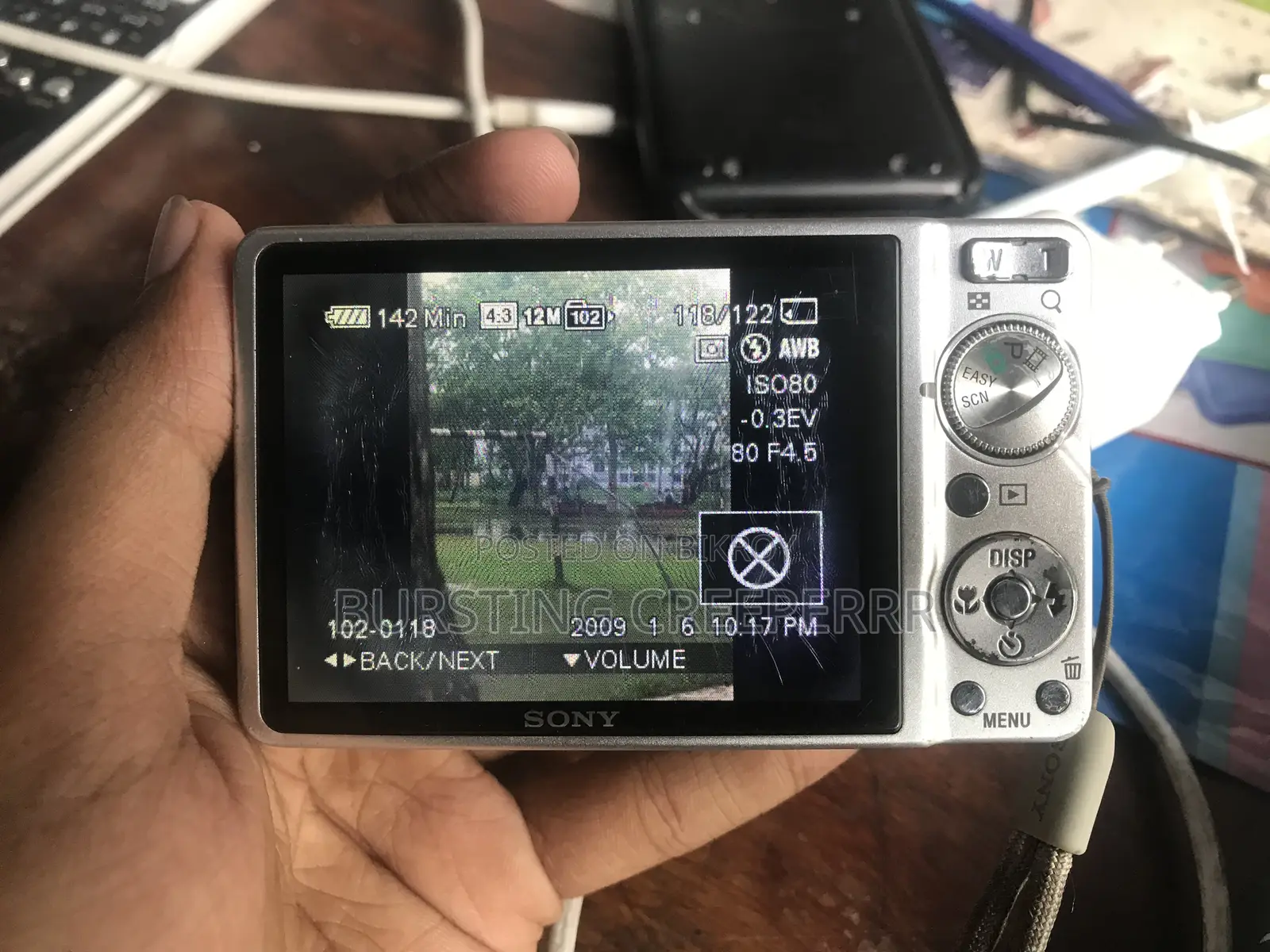 Cybershot DSC W290