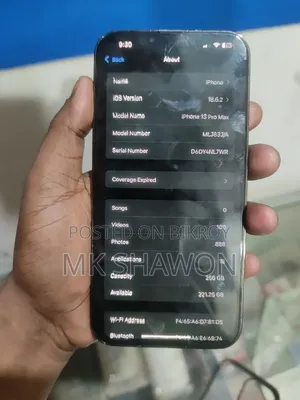 Apple iPhone 13 Pro Max 256 GB Gray