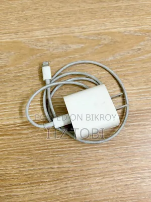 iPhone 20W অরিজিনাল চার্জার