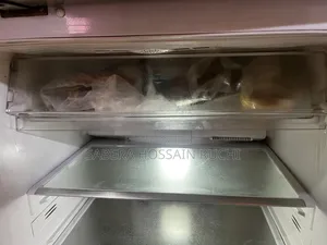 Sony Rangs Double-Door Refrigerator