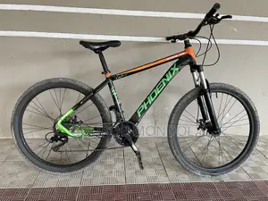 Phoenix Stunt Cycle