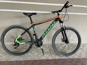 Phoenix Stunt Cycle