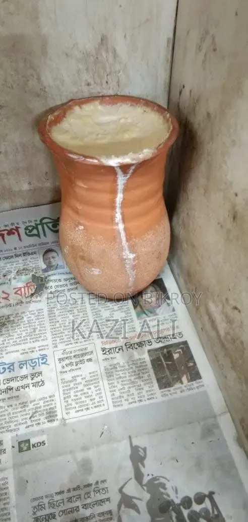 Try Our Hatiya Buffalo Milk Yogurt Once—You'll Know It's Authentic!
