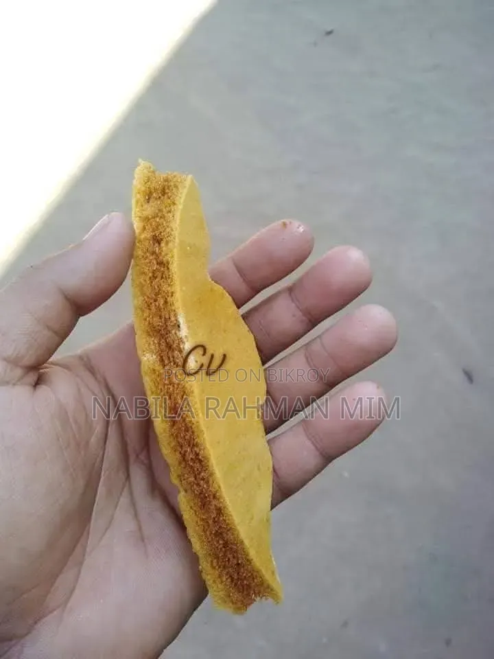 Kotkoti