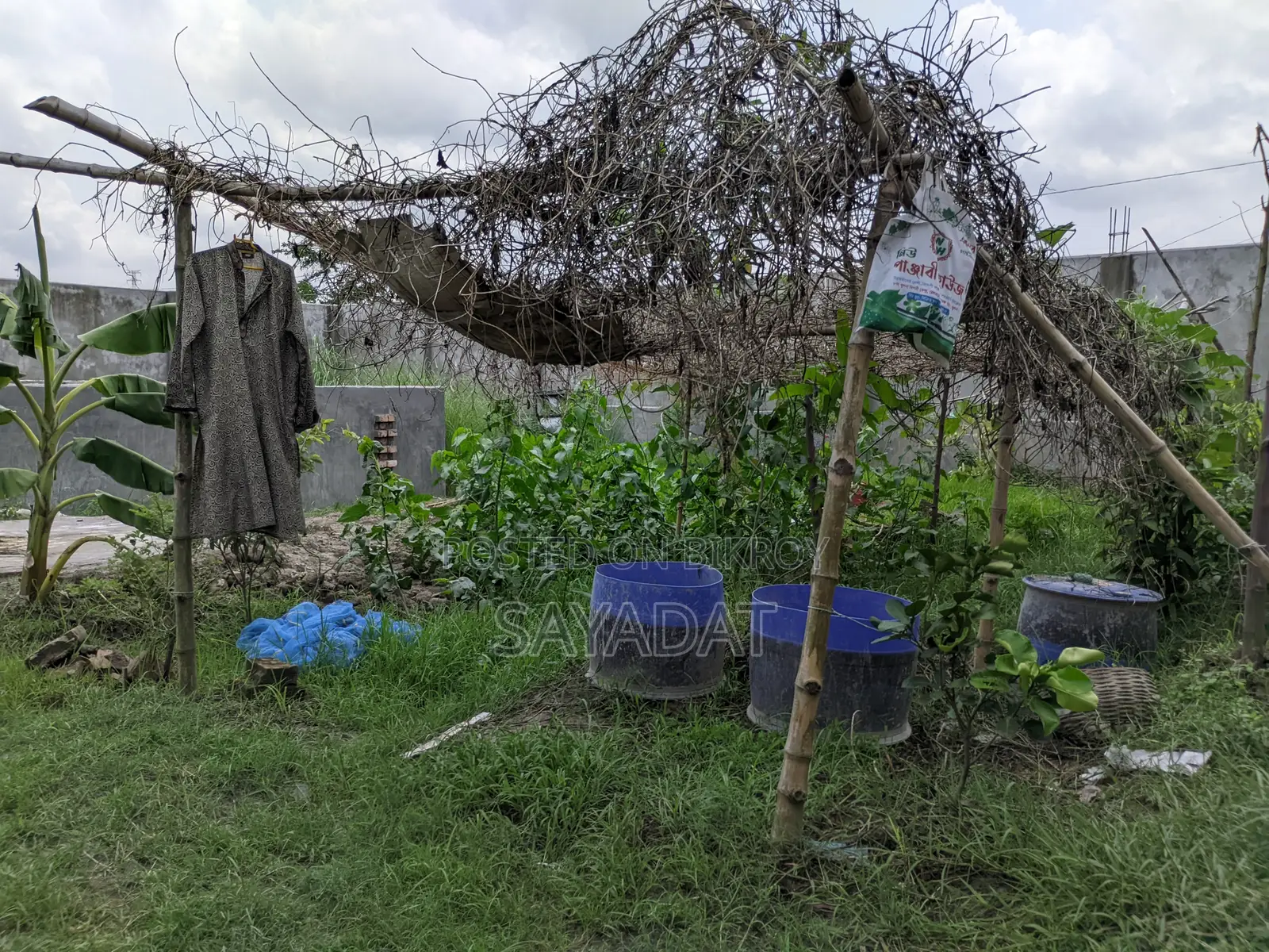 Land for Sale (Ashik Road, Chakrakhali, Khulna)