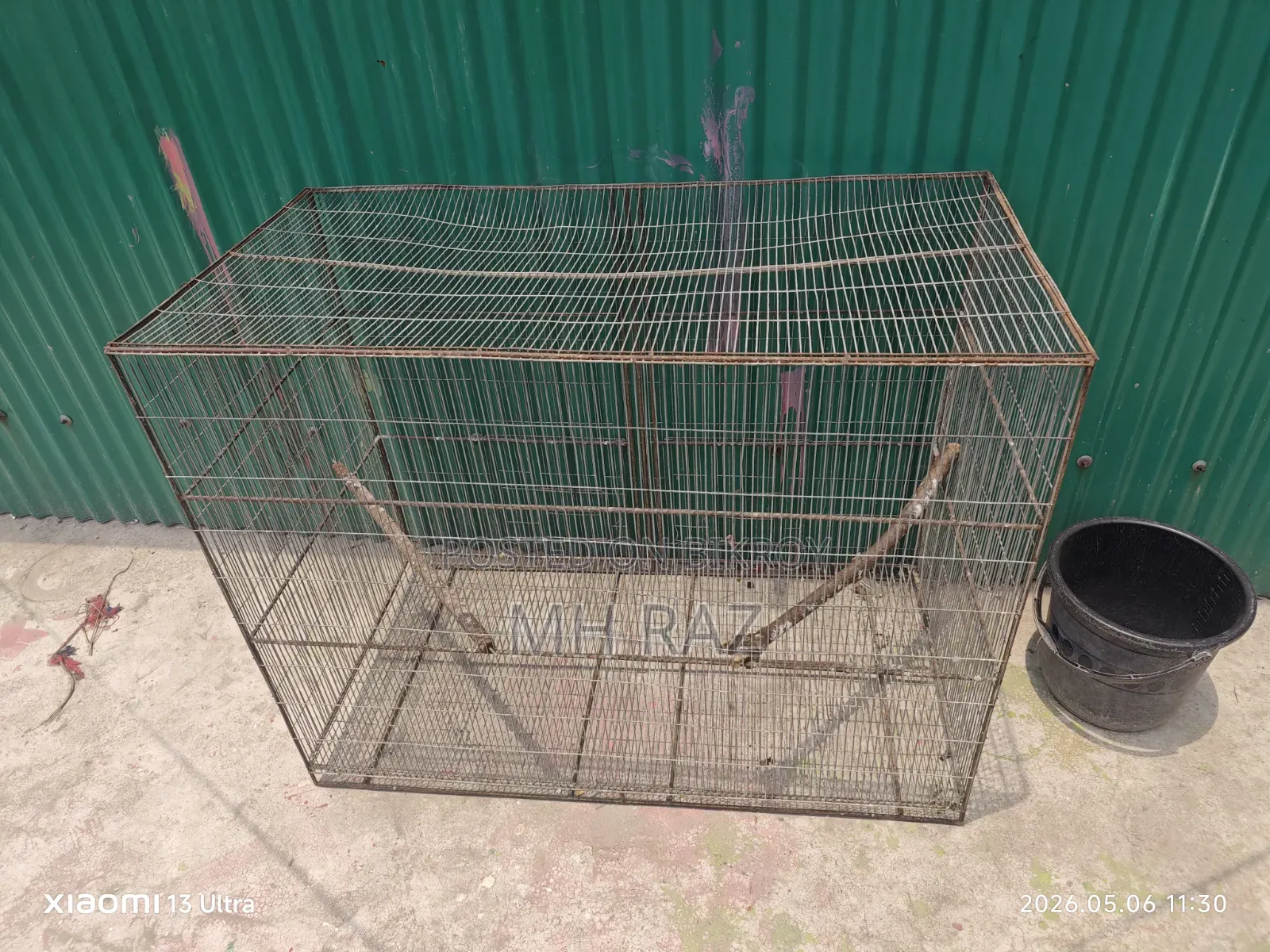 Bird Cage
