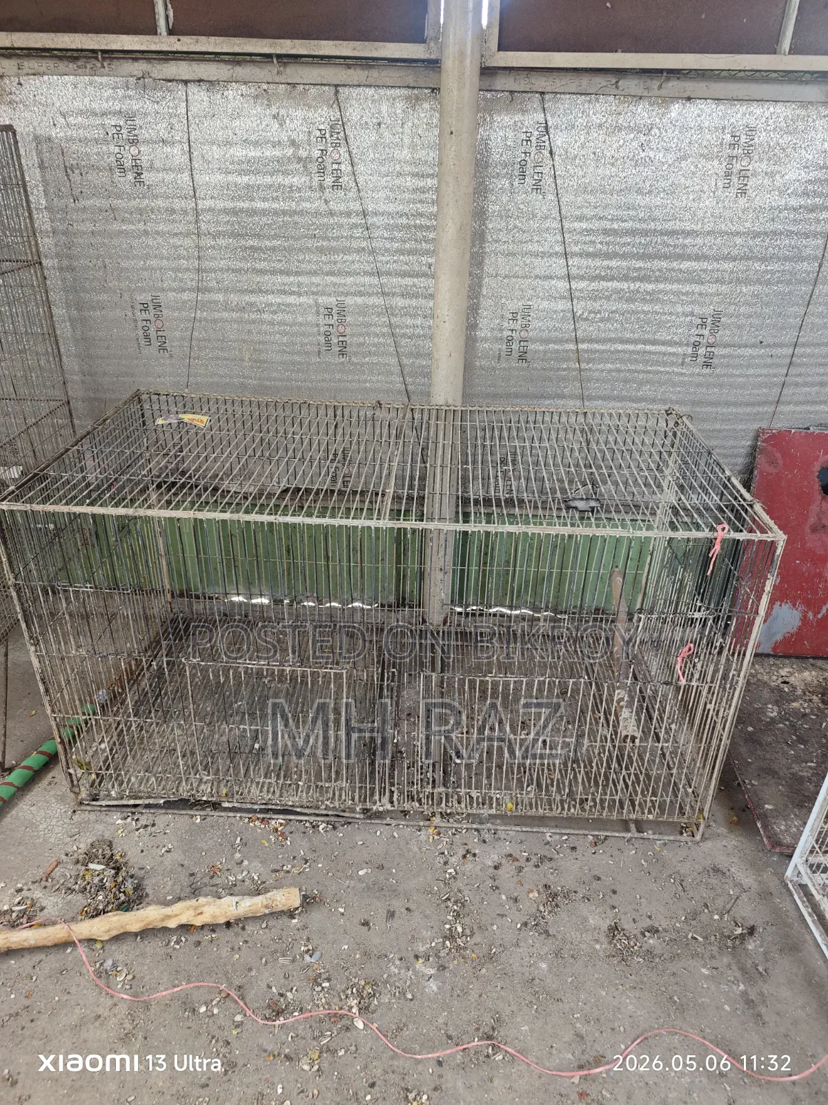 Bird Cage