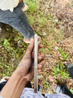 Apple iPhone 16 Pro Max 256 GB রোজ গোল্ড