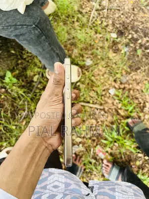 Apple iPhone 16 Pro Max 256 GB রোজ গোল্ড