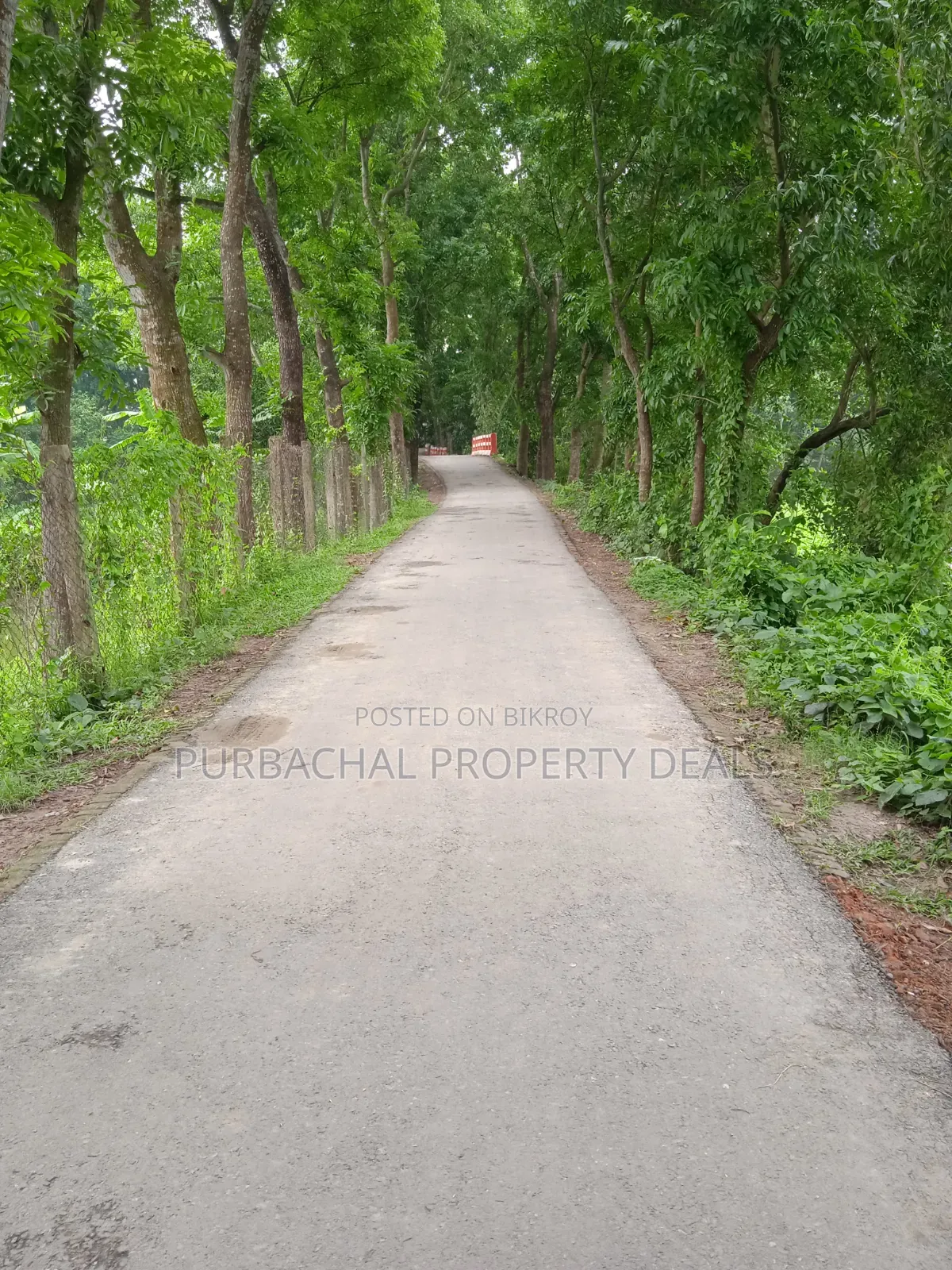 কালিগঞ্জে ১২ বিঘা বিশাল গার্ডেন প্রজেক্টের জন্য উপযুক্ত জমি বিক্রয়