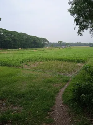 কালিগঞ্জে ১২ বিঘা বিশাল গার্ডেন প্রজেক্টের জন্য উপযুক্ত জমি বিক্রয়