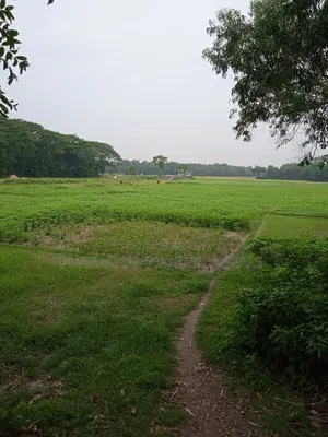 কালিগঞ্জে ১২ বিঘা বিশাল গার্ডেন প্রজেক্টের জন্য উপযুক্ত জমি বিক্রয়