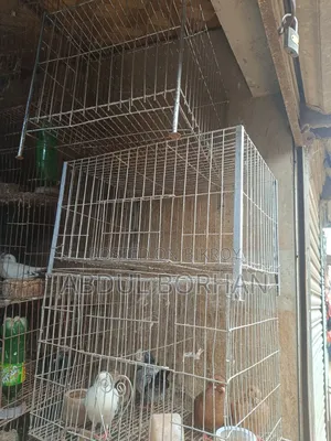 Single-Story Cage