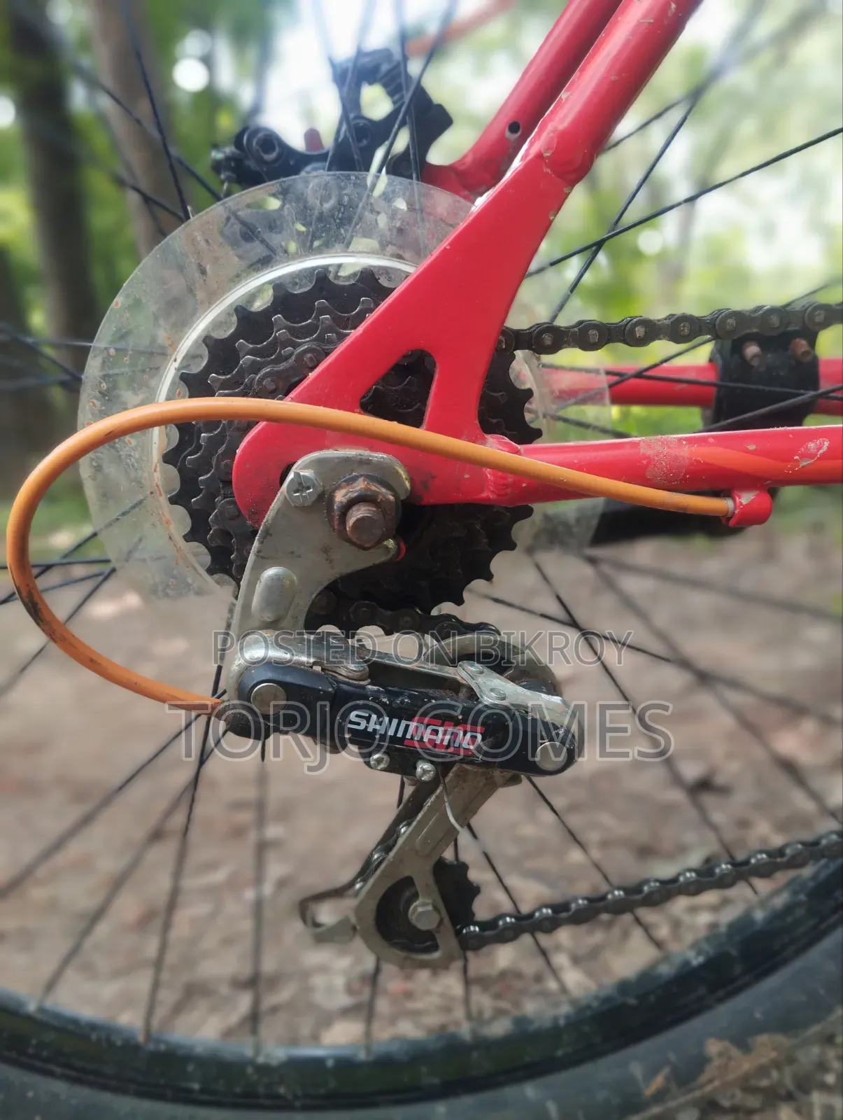 Used Bicycle