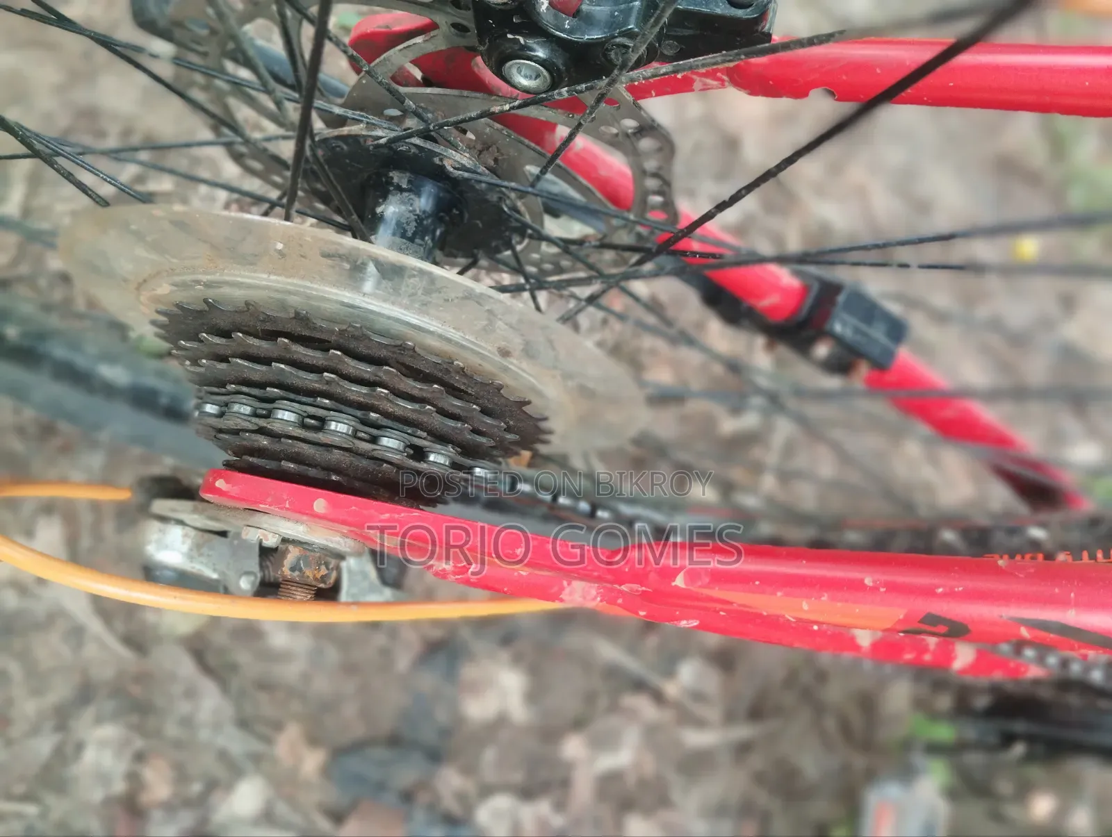 Used Bicycle