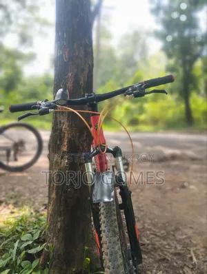 Used Bicycle
