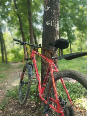 Used Bicycle