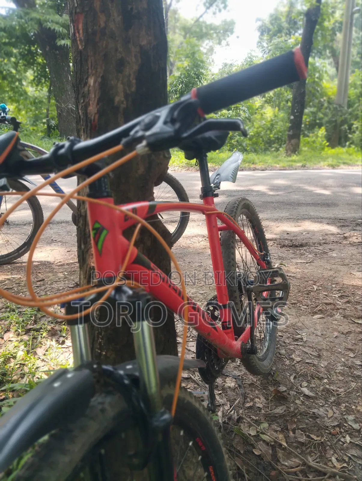 Used Bicycle