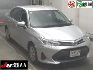 Toyota Axio 2020 সিলভার