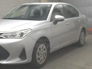 Toyota Axio 2020 Silver