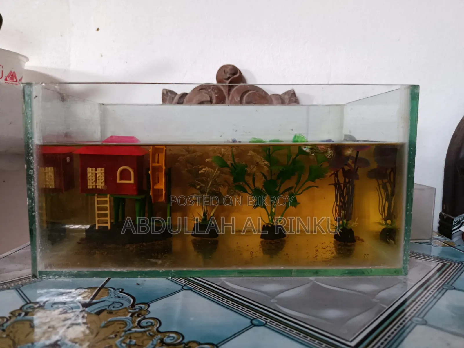 Aquarium Full Set
