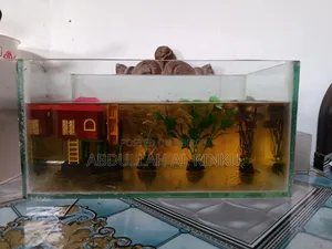 Aquarium Full Set