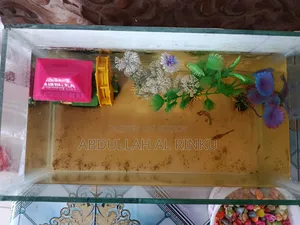 Aquarium Full Set