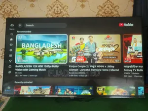 Haier 43" Google Voice TV (Six Months Warranty and Replacement)