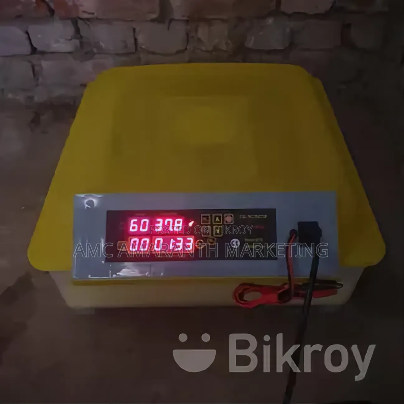 Automatic Egg Incubator