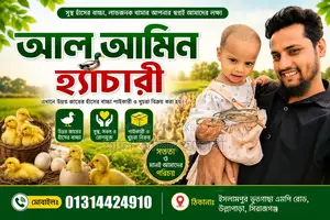 এক দিন বয়সের বয়লার মুরগির বাচ্চা বিক্রি করা হবে