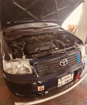 Toyota Succeed 2002 Blue