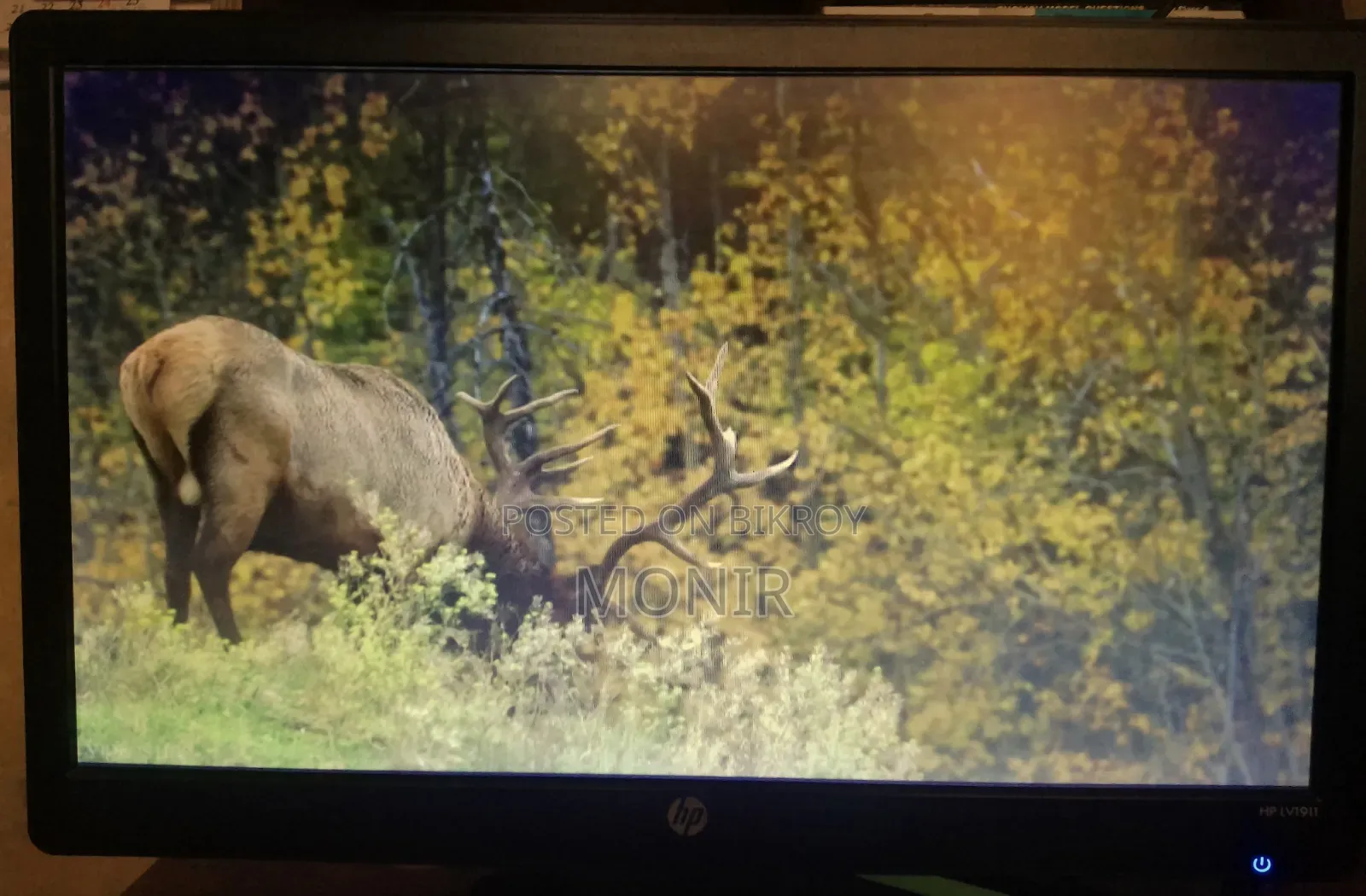 HP Monitor LV1911 (Fresh)