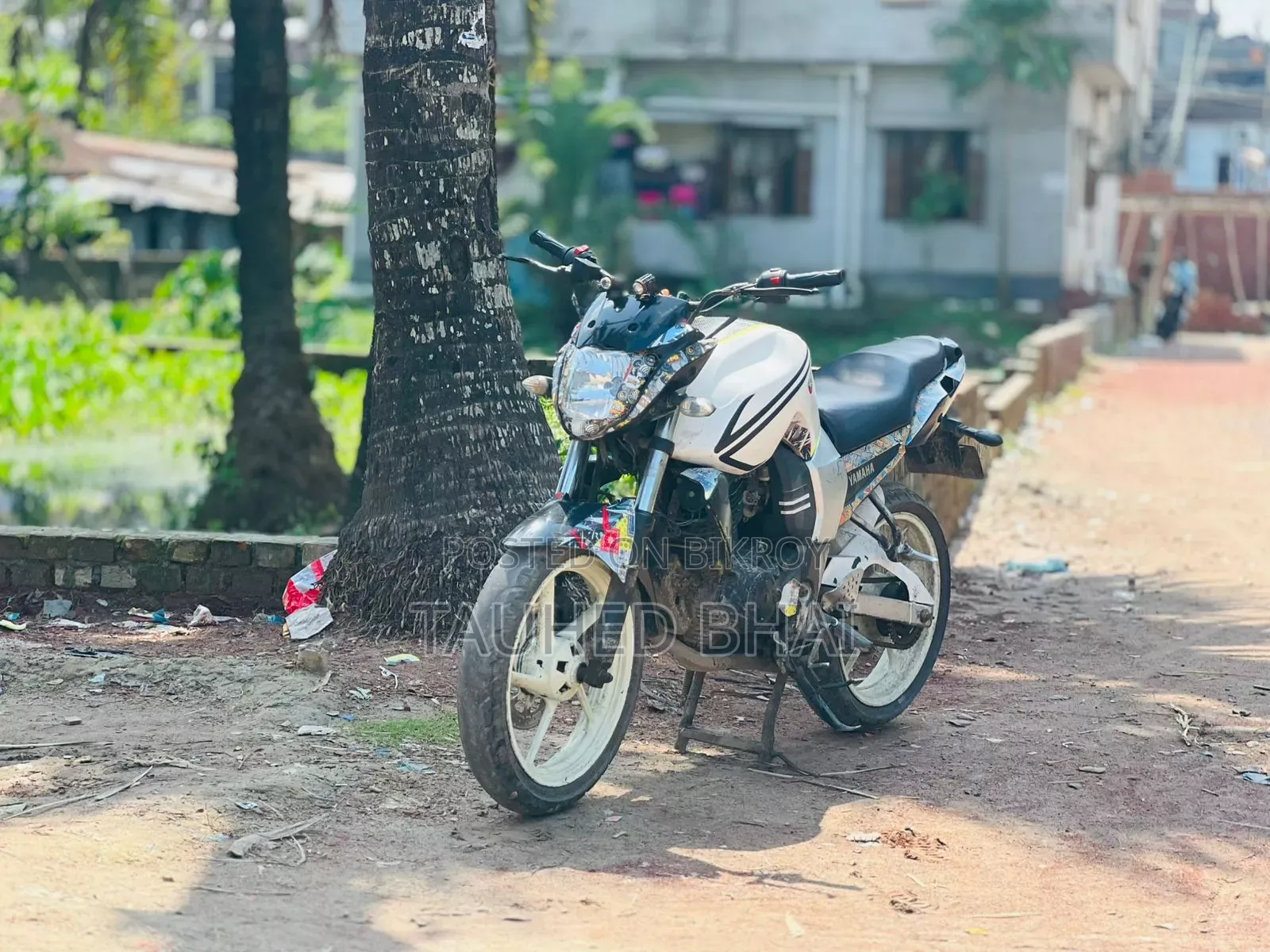 Yamaha FZ 2012 White
