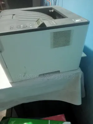 Pantum Duplex Printer