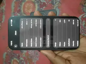Apple iPhone 16 Pro 256 GB Gray