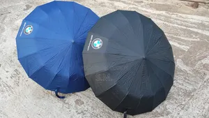 Bmw Premium Umbrella