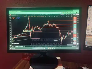 Esonic 20 Inch Monitor Sell