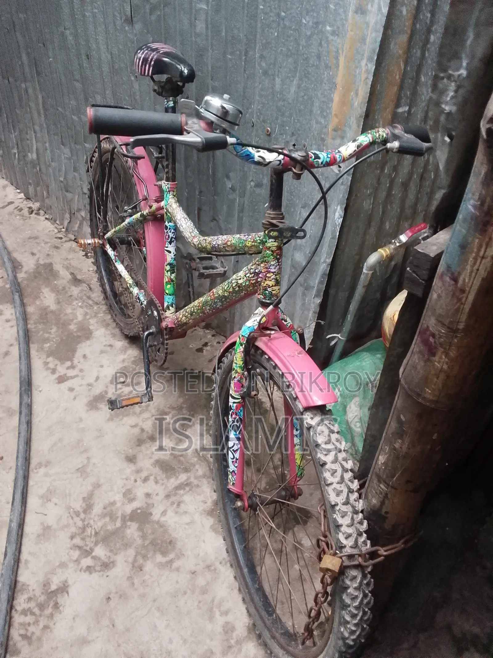 Beautiful Bicycle