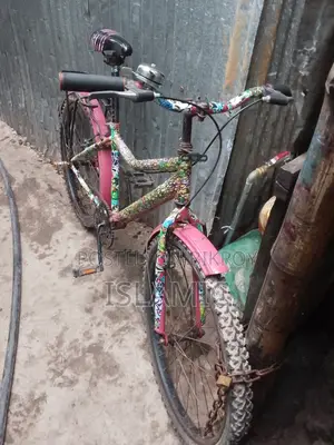 Beautiful Bicycle