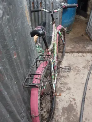 Beautiful Bicycle