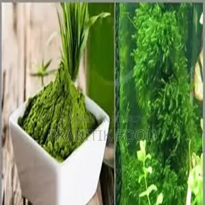 স্পিরুলিনা ১৫০ গ্রাম - Spirulina 150 Gm