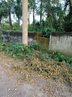 3 Katha East-Facing Plot Near Iconic Tower, Sector-9