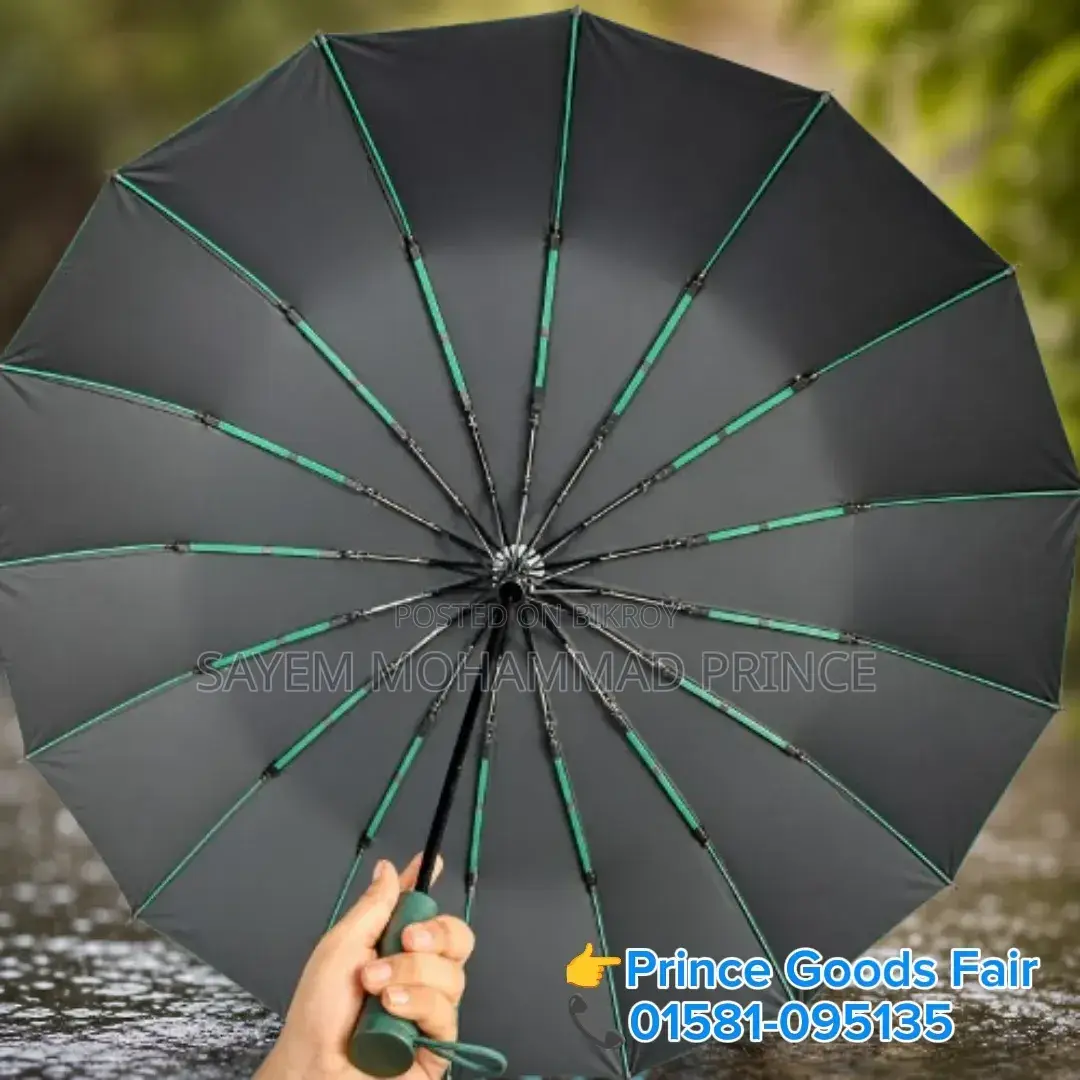 BMW Umbrella