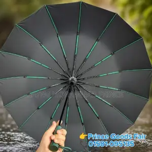 BMW Umbrella