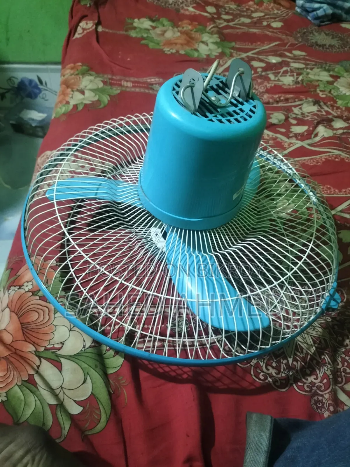 Walton Fan