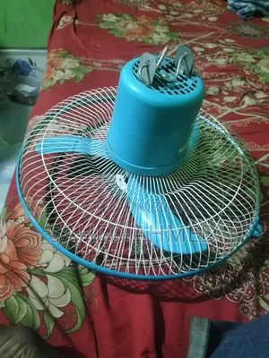 Walton Fan