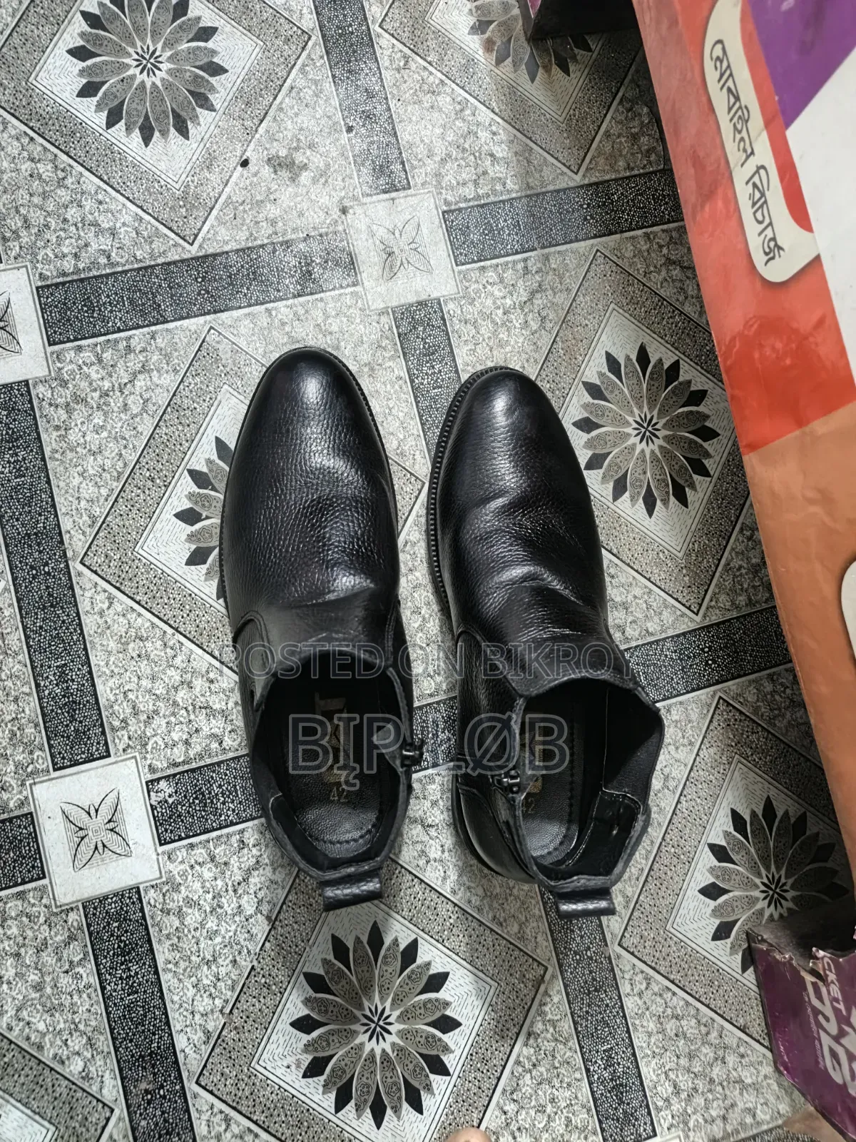 Chelsea Boot Cat