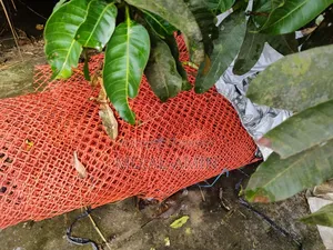 Plastic Fence