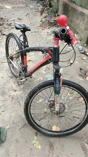 Duranta Gravity Plus X300