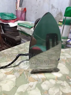 Singer Iron